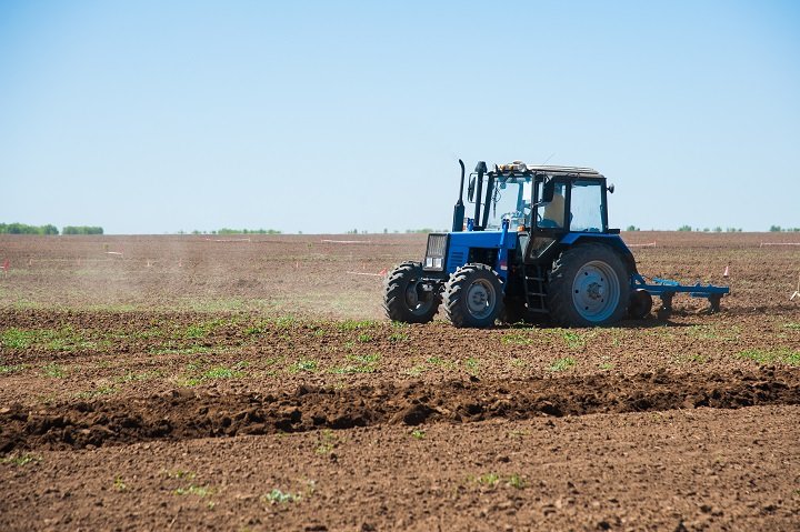 Blue tractor operating in a dry field before no till planting with no till equipment