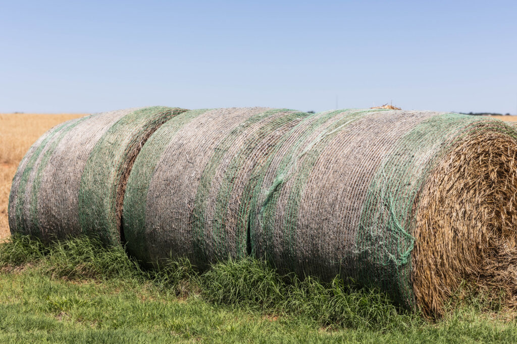 Round hay bales covered with hay bale netting before feeding, showing why farming supplies for containing loose wrap are useful on flatbeds with a cube feeder.